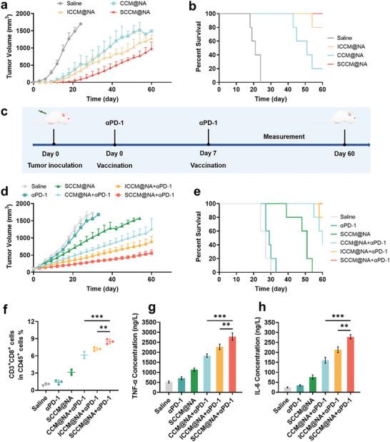 https://cdn.ncbi.nlm.nih.gov/pmc/blobs/1010/11321648/962f47783e04/ADVS-11-2400630-g003.jpg