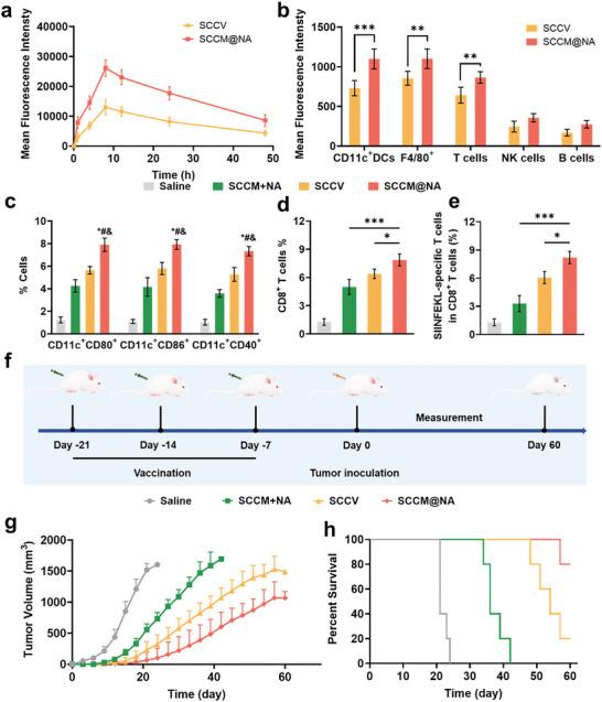 https://cdn.ncbi.nlm.nih.gov/pmc/blobs/1010/11321648/abed5ad27d89/ADVS-11-2400630-g002.jpg