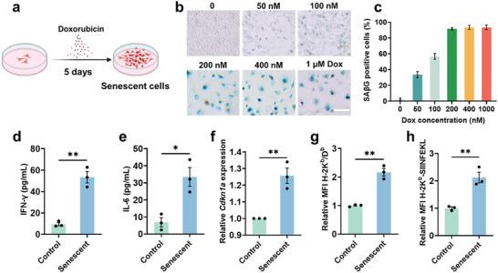 https://cdn.ncbi.nlm.nih.gov/pmc/blobs/1010/11321648/d370030dd6c3/ADVS-11-2400630-g006.jpg