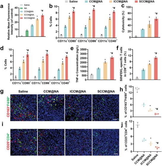 https://cdn.ncbi.nlm.nih.gov/pmc/blobs/1010/11321648/d5c5716719cd/ADVS-11-2400630-g001.jpg
