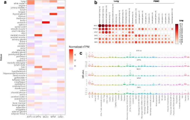 https://cdn.ncbi.nlm.nih.gov/pmc/blobs/1012/10550956/d2124e42dc52/41467_2023_41912_Fig4_HTML.jpg