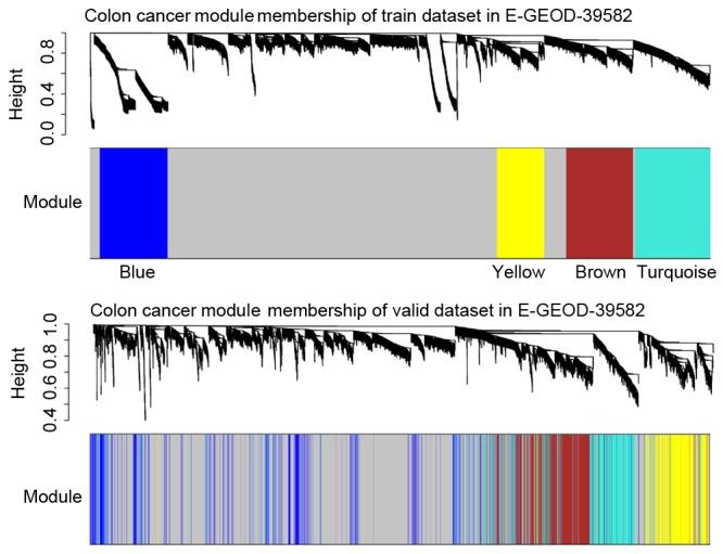 https://cdn.ncbi.nlm.nih.gov/pmc/blobs/1012/5865817/305e944b719f/mmr-16-05-6499-g06.jpg