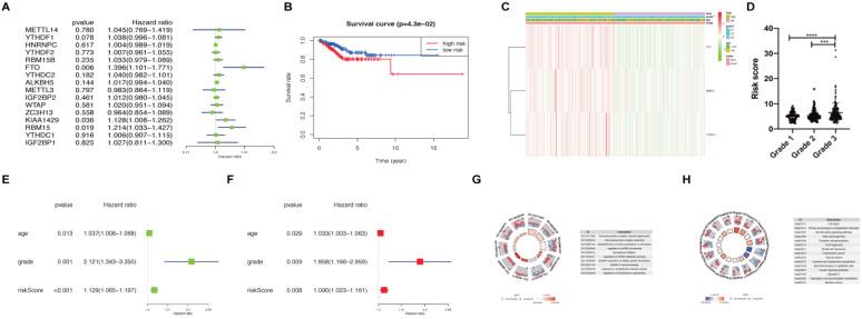 https://cdn.ncbi.nlm.nih.gov/pmc/blobs/1013/8210566/6f51994164a3/jcav12p4729g002.jpg