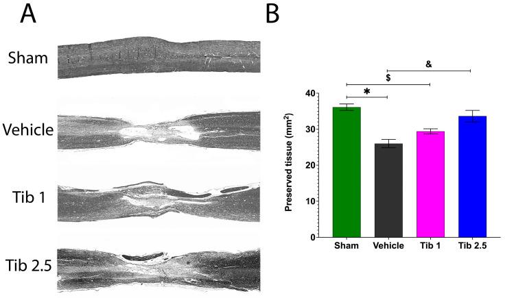 https://cdn.ncbi.nlm.nih.gov/pmc/blobs/1014/12428252/4432ab136498/ijms-26-08327-g005.jpg