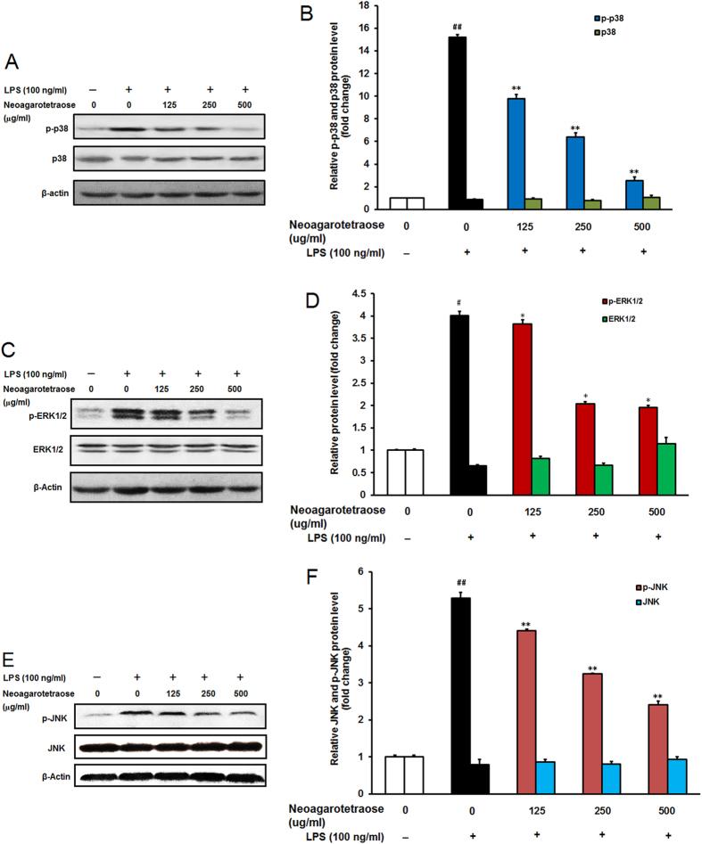 https://cdn.ncbi.nlm.nih.gov/pmc/blobs/1014/5339798/9dc431848fd1/srep44252-f5.jpg