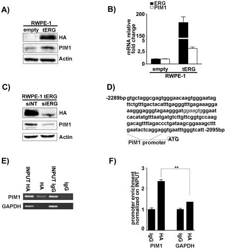 https://cdn.ncbi.nlm.nih.gov/pmc/blobs/1016/3227636/b38aca98d250/pone.0028162.g003.jpg