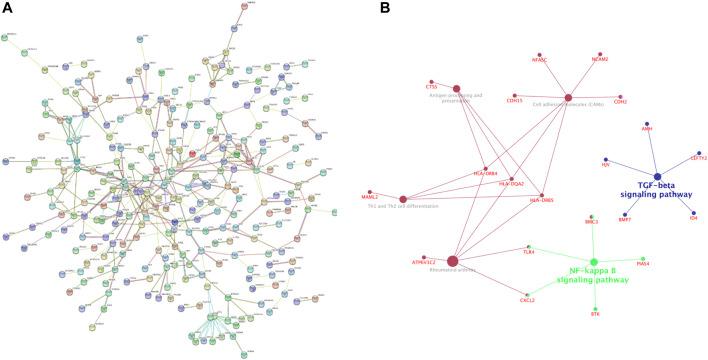 https://cdn.ncbi.nlm.nih.gov/pmc/blobs/1016/8971206/a386e732869e/fgene-13-855557-g003.jpg