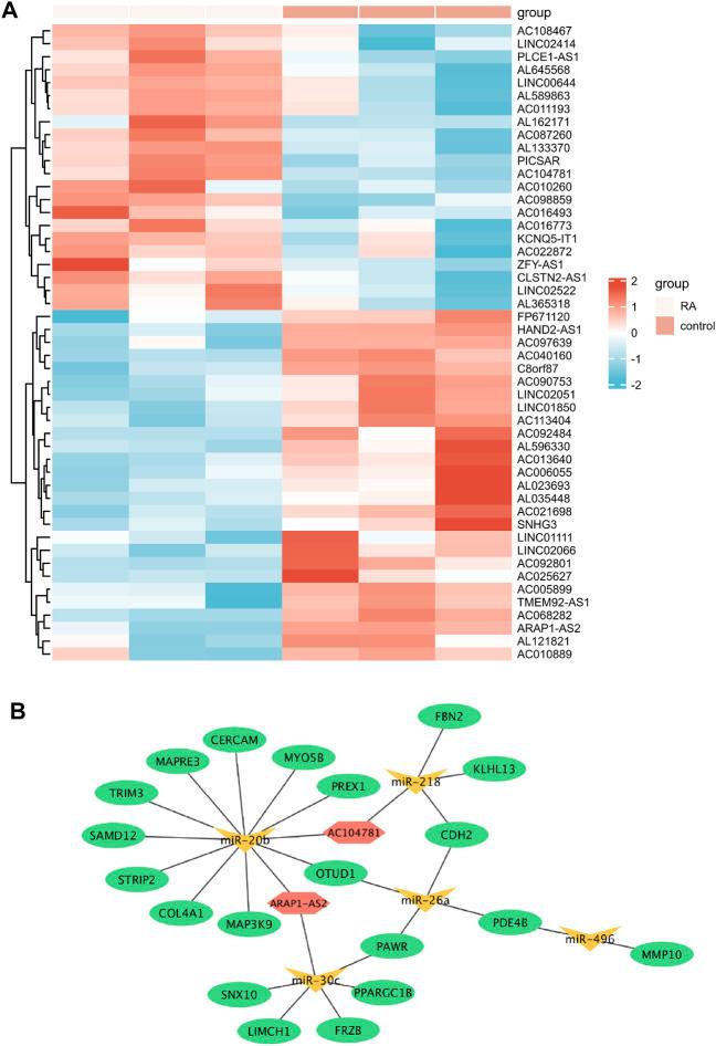 https://cdn.ncbi.nlm.nih.gov/pmc/blobs/1016/8971206/b94c28df9934/fgene-13-855557-g006.jpg