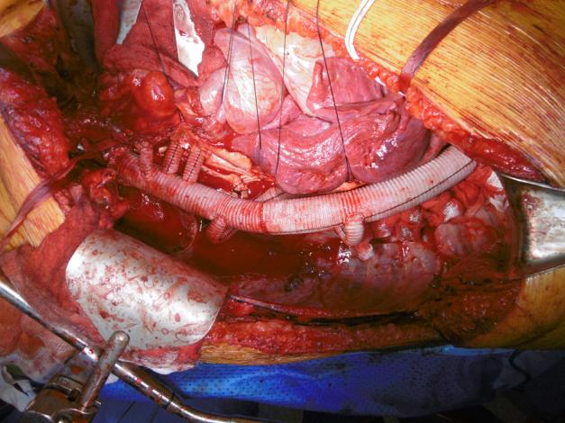 https://cdn.ncbi.nlm.nih.gov/pmc/blobs/101b/8303063/1e1f439267c0/fx1.jpg