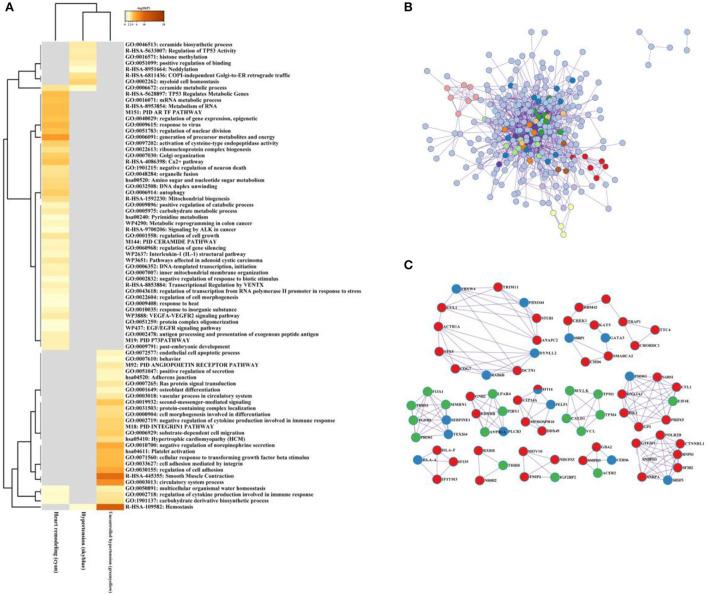 https://cdn.ncbi.nlm.nih.gov/pmc/blobs/101e/9582241/b5197dcdf495/fcvm-09-992284-g0008.jpg