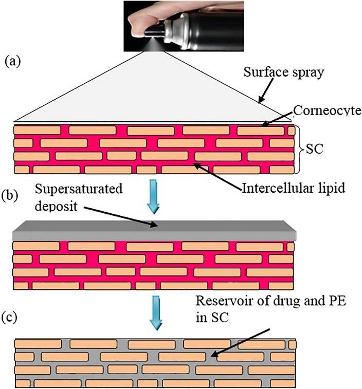 https://cdn.ncbi.nlm.nih.gov/pmc/blobs/1022/6311647/e5d557ab19bf/apb-8-535-g003.jpg