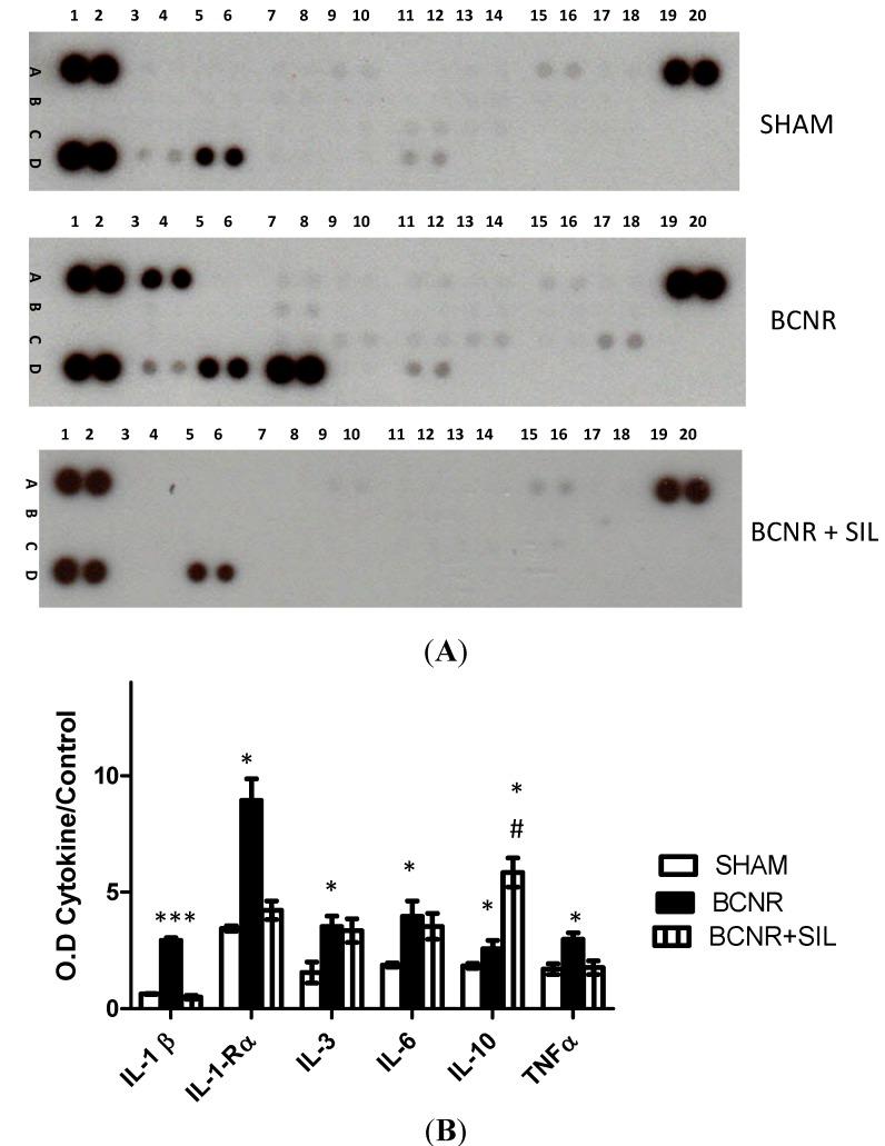 https://cdn.ncbi.nlm.nih.gov/pmc/blobs/1024/4227157/14e8a950860f/ijms-15-17204-g001.jpg