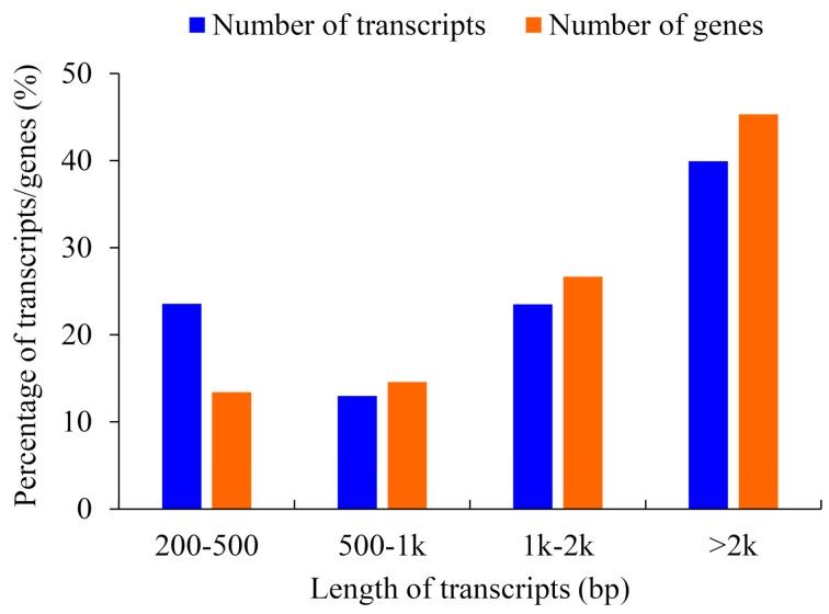 https://cdn.ncbi.nlm.nih.gov/pmc/blobs/1024/6928798/4e3a81df10fa/ijms-20-06034-g001.jpg
