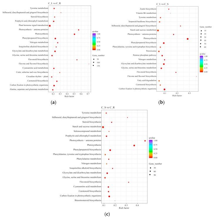 https://cdn.ncbi.nlm.nih.gov/pmc/blobs/1024/6928798/7a126a807315/ijms-20-06034-g008.jpg