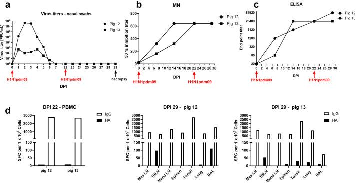 https://cdn.ncbi.nlm.nih.gov/pmc/blobs/1024/7932163/9b1c36f586e1/ppat.1009330.g001.jpg