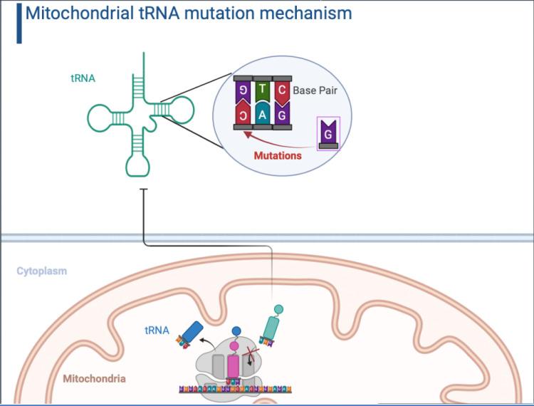https://cdn.ncbi.nlm.nih.gov/pmc/blobs/1026/11705967/76c0427f1c2c/NDT-21-15-g0003.jpg