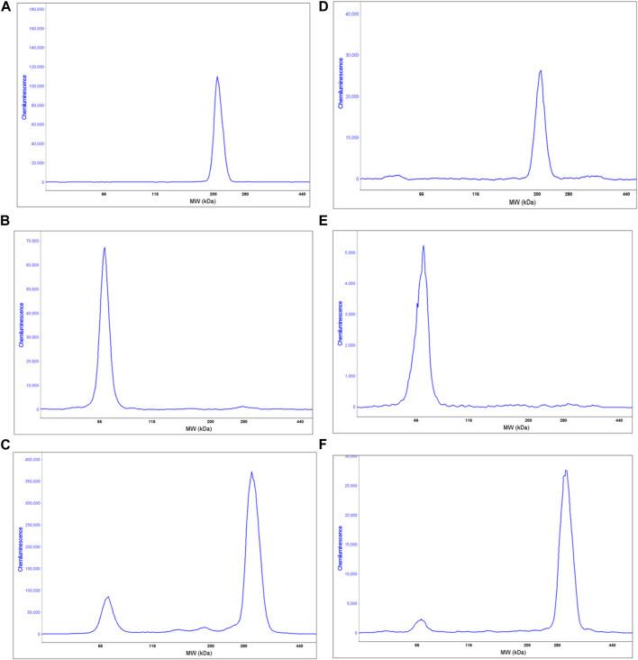 https://cdn.ncbi.nlm.nih.gov/pmc/blobs/1027/10229783/3c524075c4b7/fphys-14-1145047-g005.jpg