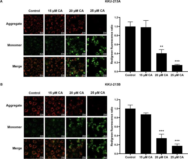 https://cdn.ncbi.nlm.nih.gov/pmc/blobs/1027/10785084/cd9b81f65a52/ao3c07556_0003.jpg