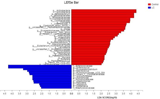 https://cdn.ncbi.nlm.nih.gov/pmc/blobs/1027/6489541/08ca812f3626/fcimb-09-00112-g0003.jpg