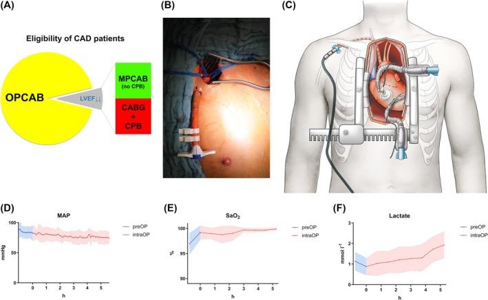 https://cdn.ncbi.nlm.nih.gov/pmc/blobs/1028/12287806/10720a880e96/EHF2-12-2749-g001.jpg