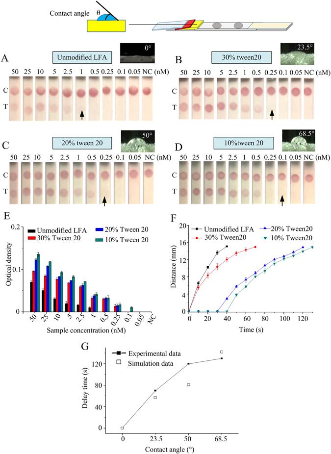 https://cdn.ncbi.nlm.nih.gov/pmc/blobs/1028/5431006/86aafb95dc06/41598_2017_1558_Fig4_HTML.jpg