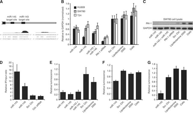 https://cdn.ncbi.nlm.nih.gov/pmc/blobs/1029/3261682/259f222b8d3a/bjc2011520f4.jpg