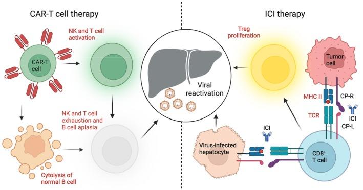 https://cdn.ncbi.nlm.nih.gov/pmc/blobs/102b/11760653/520c1107d3b7/LIV-45-0-g003.jpg