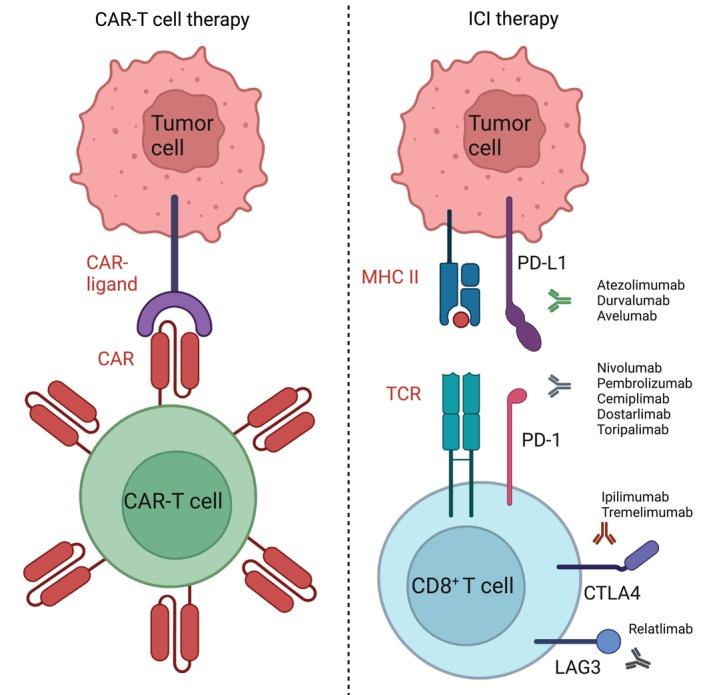 https://cdn.ncbi.nlm.nih.gov/pmc/blobs/102b/11760653/db06695932d3/LIV-45-0-g001.jpg