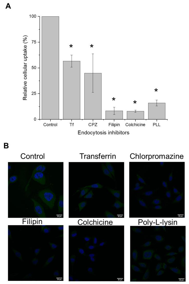 https://cdn.ncbi.nlm.nih.gov/pmc/blobs/102c/10675605/214d33d81c30/pharmaceutics-15-02643-g006.jpg