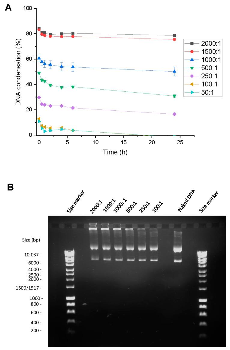 https://cdn.ncbi.nlm.nih.gov/pmc/blobs/102c/10675605/28418c12226e/pharmaceutics-15-02643-g008.jpg