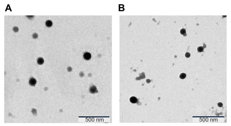 https://cdn.ncbi.nlm.nih.gov/pmc/blobs/102c/10675605/370c9c0d5612/pharmaceutics-15-02643-g001.jpg