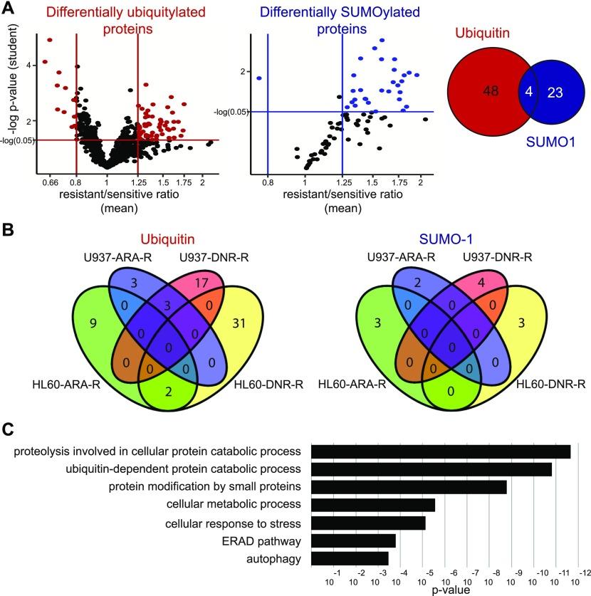 https://cdn.ncbi.nlm.nih.gov/pmc/blobs/102c/7167290/33d646a41ae8/LSA-2019-00577_Fig2.jpg