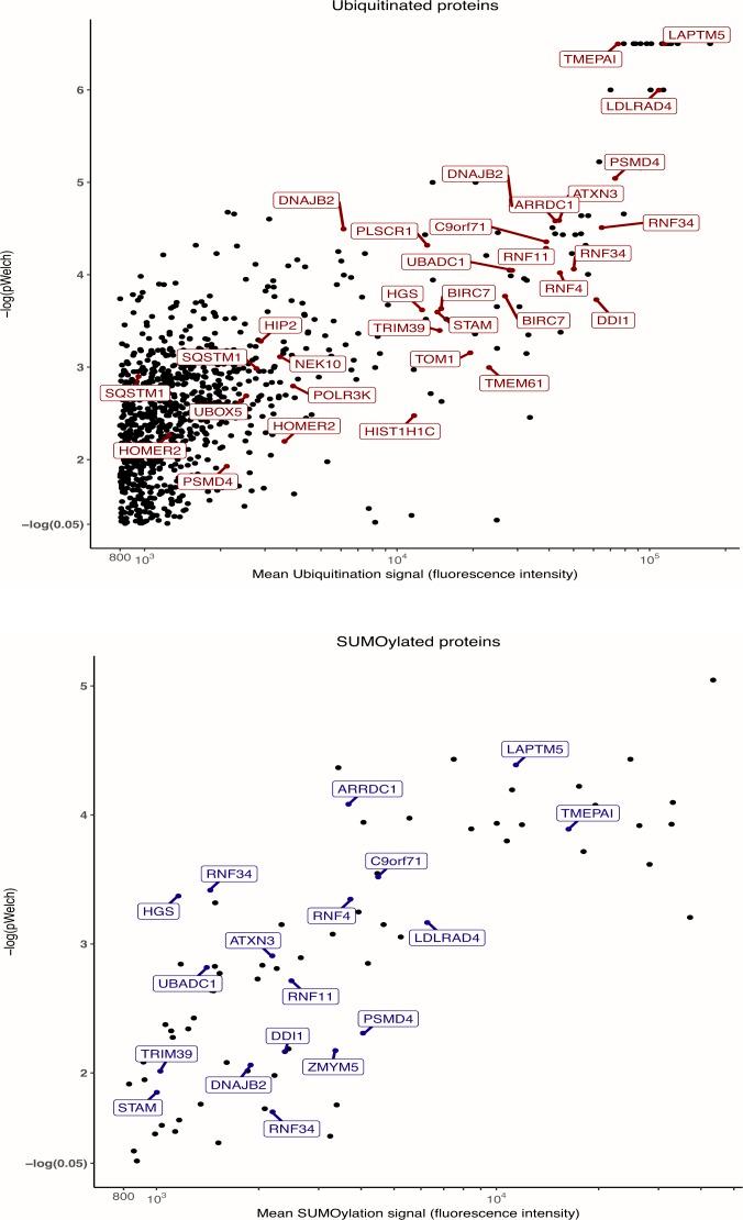 https://cdn.ncbi.nlm.nih.gov/pmc/blobs/102c/7167290/4c6e8849dfe7/LSA-2019-00577_FigS1.jpg