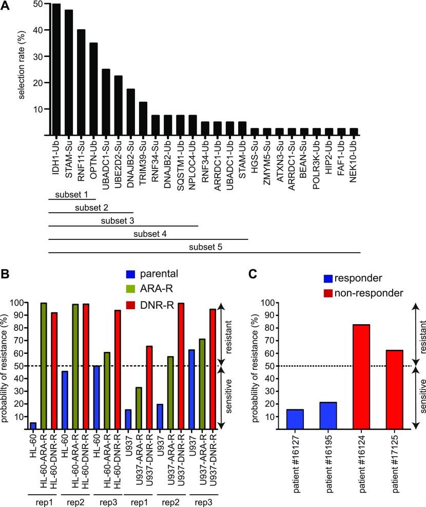 https://cdn.ncbi.nlm.nih.gov/pmc/blobs/102c/7167290/75b3024281da/LSA-2019-00577_Fig3.jpg