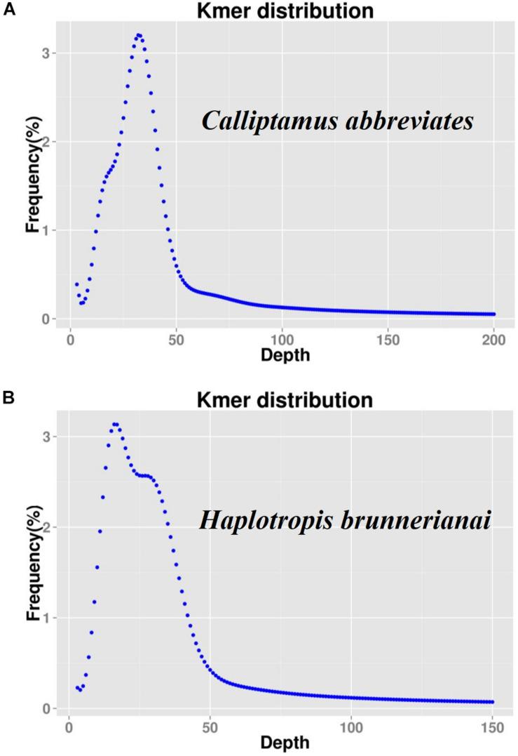 https://cdn.ncbi.nlm.nih.gov/pmc/blobs/102d/7642767/29b825a804ca/fphys-11-567125-g003.jpg