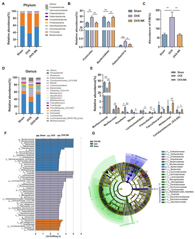 https://cdn.ncbi.nlm.nih.gov/pmc/blobs/1031/10976110/f25bb19df2c2/molecules-29-01240-g004.jpg