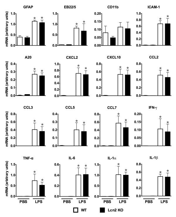 https://cdn.ncbi.nlm.nih.gov/pmc/blobs/1032/3192694/4b6aee593a30/1742-2094-8-124-7.jpg