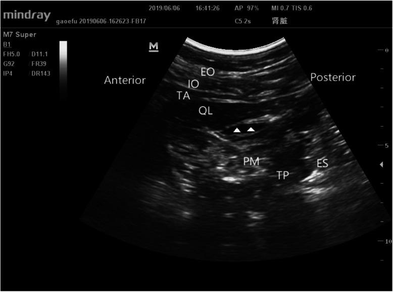 https://cdn.ncbi.nlm.nih.gov/pmc/blobs/1032/7877010/27db05a05f07/12871_2021_1255_Fig2_HTML.jpg