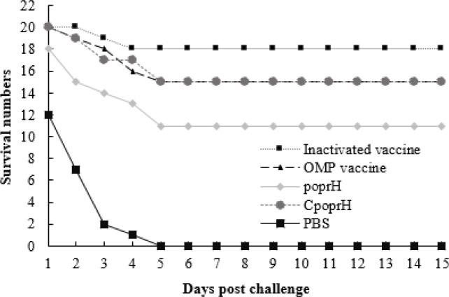 https://cdn.ncbi.nlm.nih.gov/pmc/blobs/1033/12085210/29677e4da927/ijvr-25-353-g009.jpg