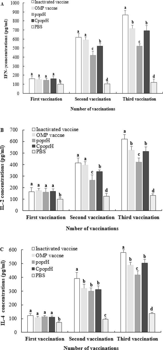 https://cdn.ncbi.nlm.nih.gov/pmc/blobs/1033/12085210/34ece247216e/ijvr-25-353-g008.jpg