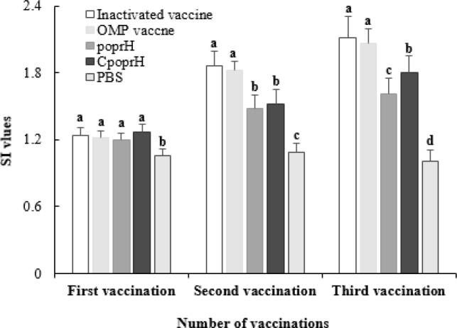https://cdn.ncbi.nlm.nih.gov/pmc/blobs/1033/12085210/4f1b56db597b/ijvr-25-353-g007.jpg