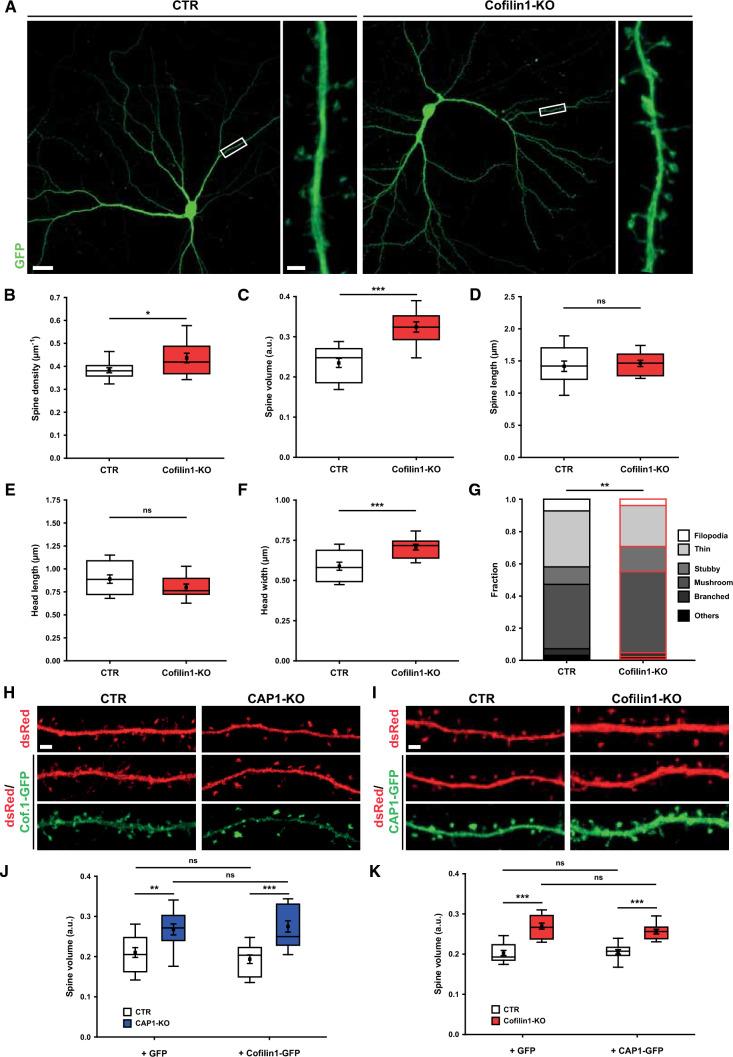 https://cdn.ncbi.nlm.nih.gov/pmc/blobs/1039/9585016/16239a55cc56/18_2022_4593_Fig6_HTML.jpg