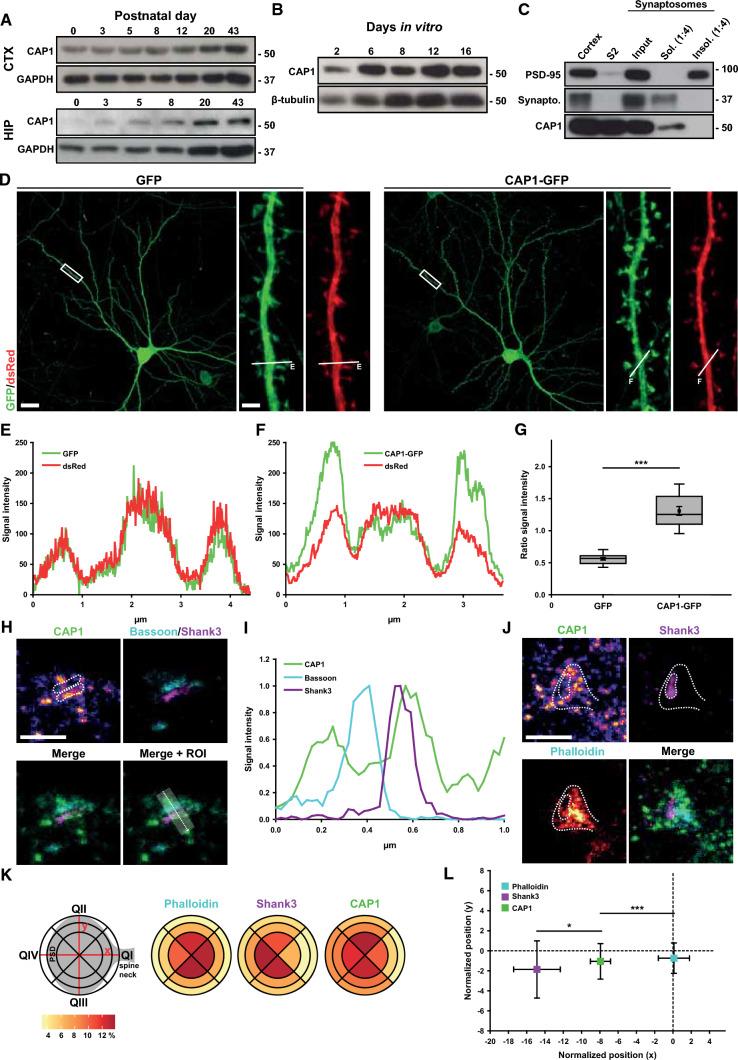 https://cdn.ncbi.nlm.nih.gov/pmc/blobs/1039/9585016/41de7b759dac/18_2022_4593_Fig1_HTML.jpg