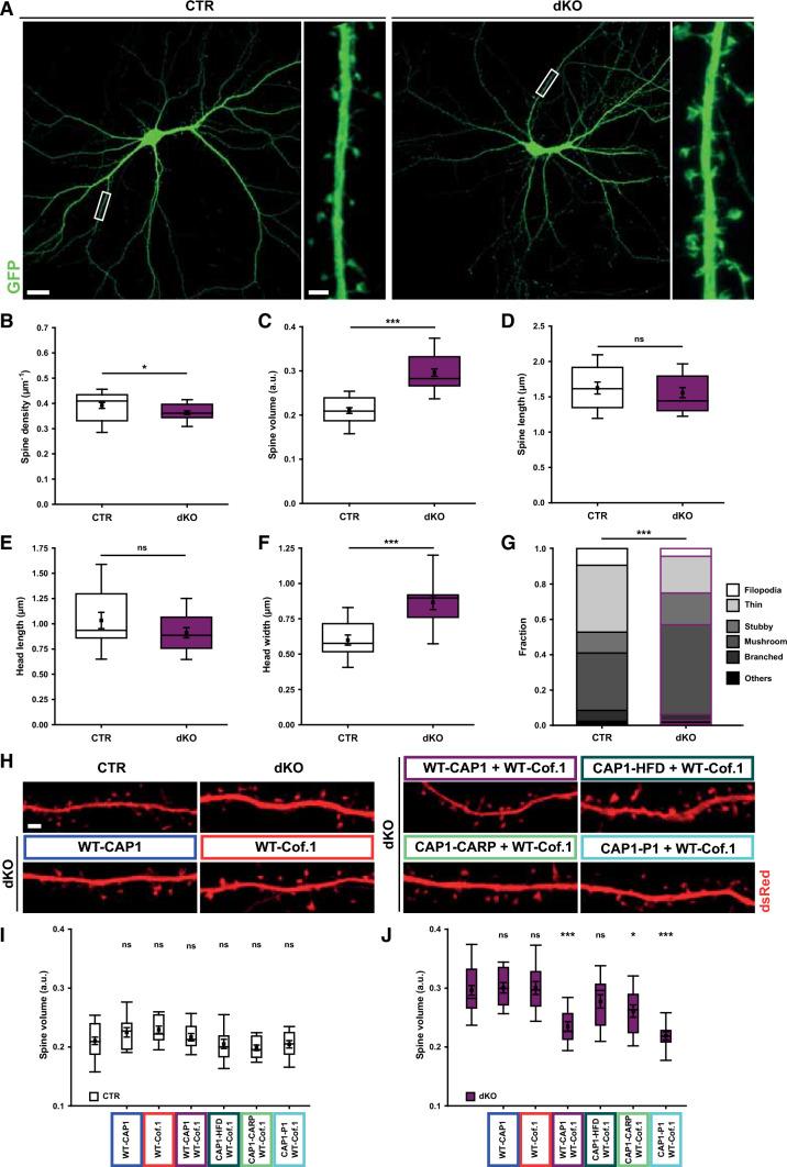 https://cdn.ncbi.nlm.nih.gov/pmc/blobs/1039/9585016/939c3f26268c/18_2022_4593_Fig7_HTML.jpg