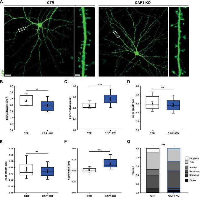 https://cdn.ncbi.nlm.nih.gov/pmc/blobs/1039/9585016/b925d0130c44/18_2022_4593_Fig2_HTML.jpg