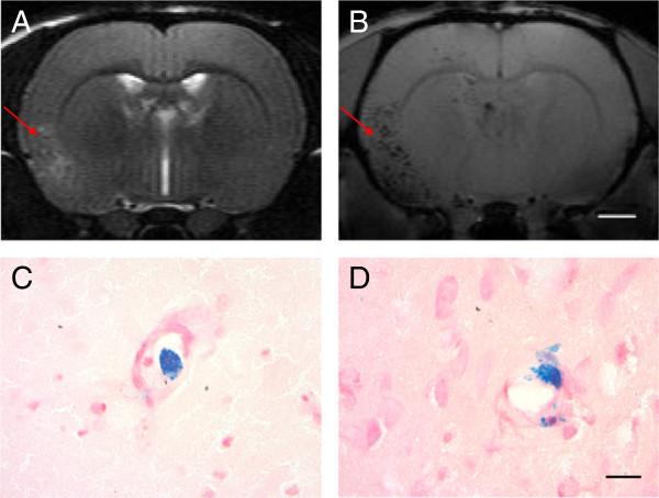 https://cdn.ncbi.nlm.nih.gov/pmc/blobs/103a/4429328/c8e2d4c50ee2/13287_2014_425_Fig6_HTML.jpg