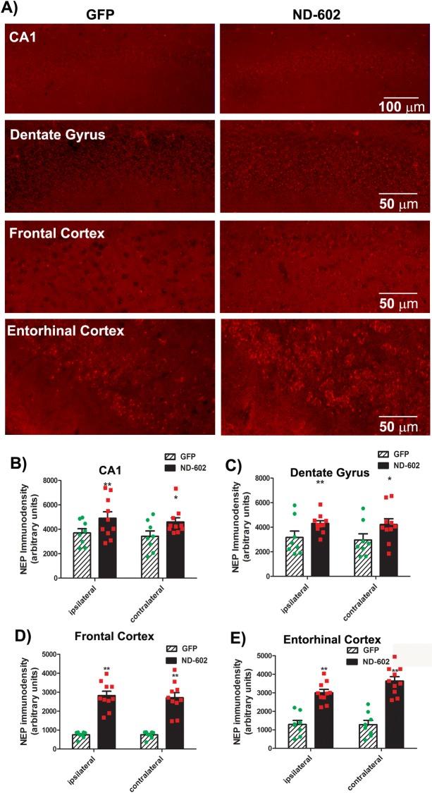 https://cdn.ncbi.nlm.nih.gov/pmc/blobs/103b/5570501/300181425786/pone.0182896.g005.jpg