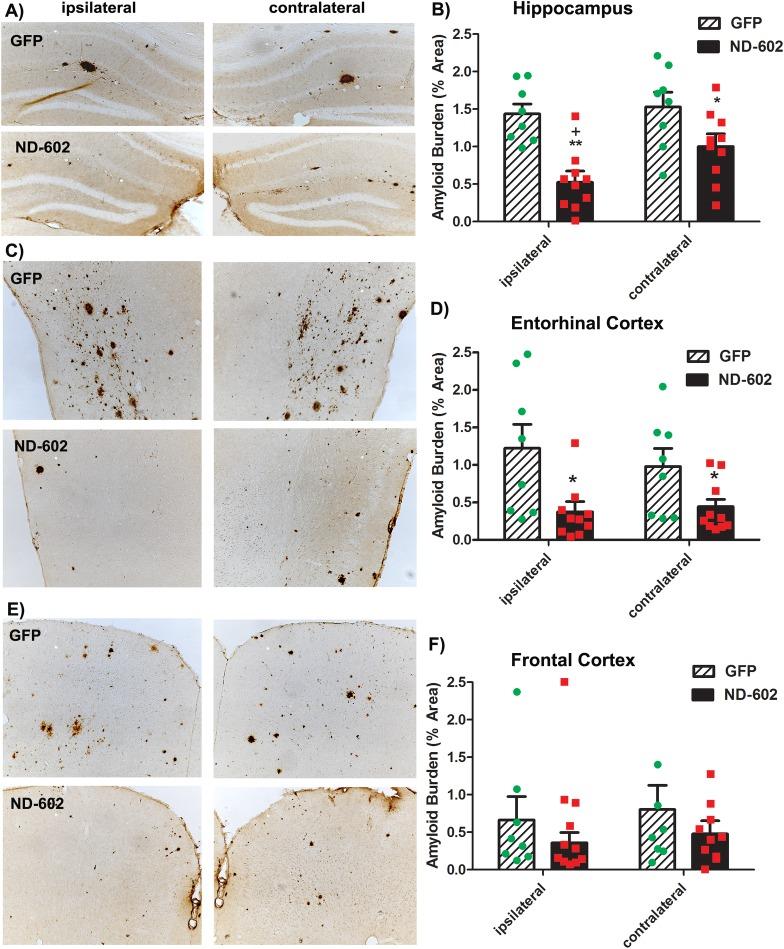 https://cdn.ncbi.nlm.nih.gov/pmc/blobs/103b/5570501/ade9e8c4e318/pone.0182896.g003.jpg