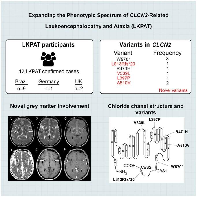 https://cdn.ncbi.nlm.nih.gov/pmc/blobs/1040/10763528/3840293e741f/fcad273_ga1.jpg