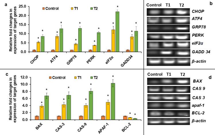 https://cdn.ncbi.nlm.nih.gov/pmc/blobs/1042/12084320/8f3903bd4c7e/41598_2025_93997_Fig4_HTML.jpg